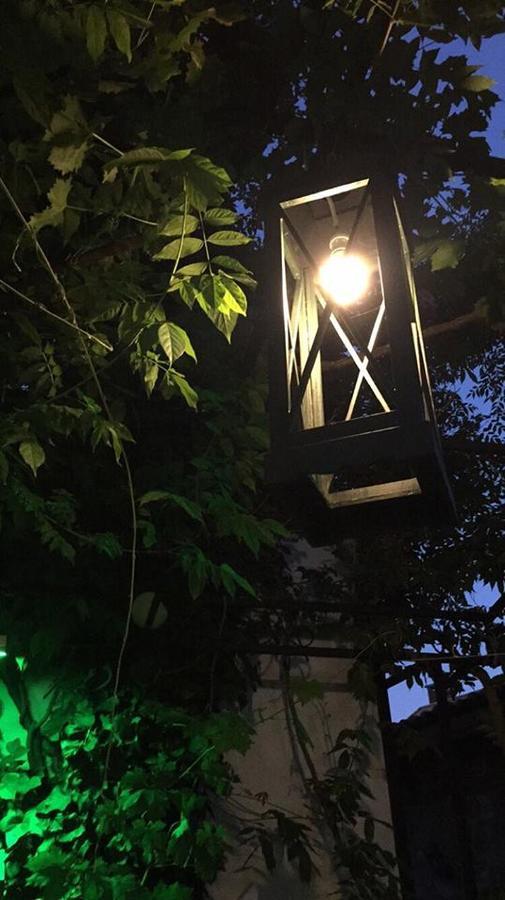 Dalyan Butik Otel Hayat Bahcesi Ayvalı Extérieur photo